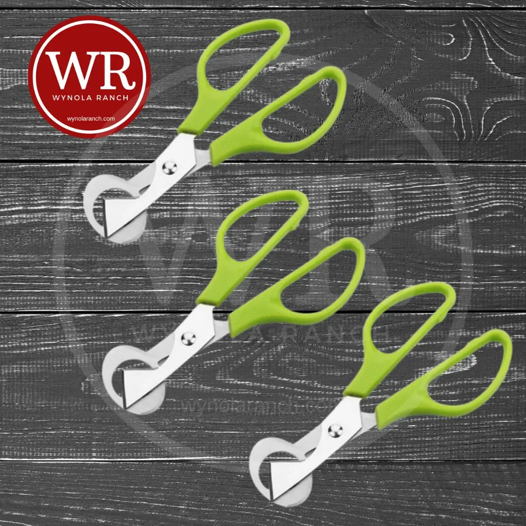 Quail Egg Cutter -Stainless x3 - Image 2
